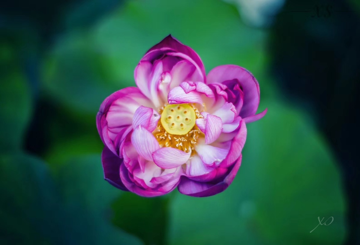 嘴角微微上扬424