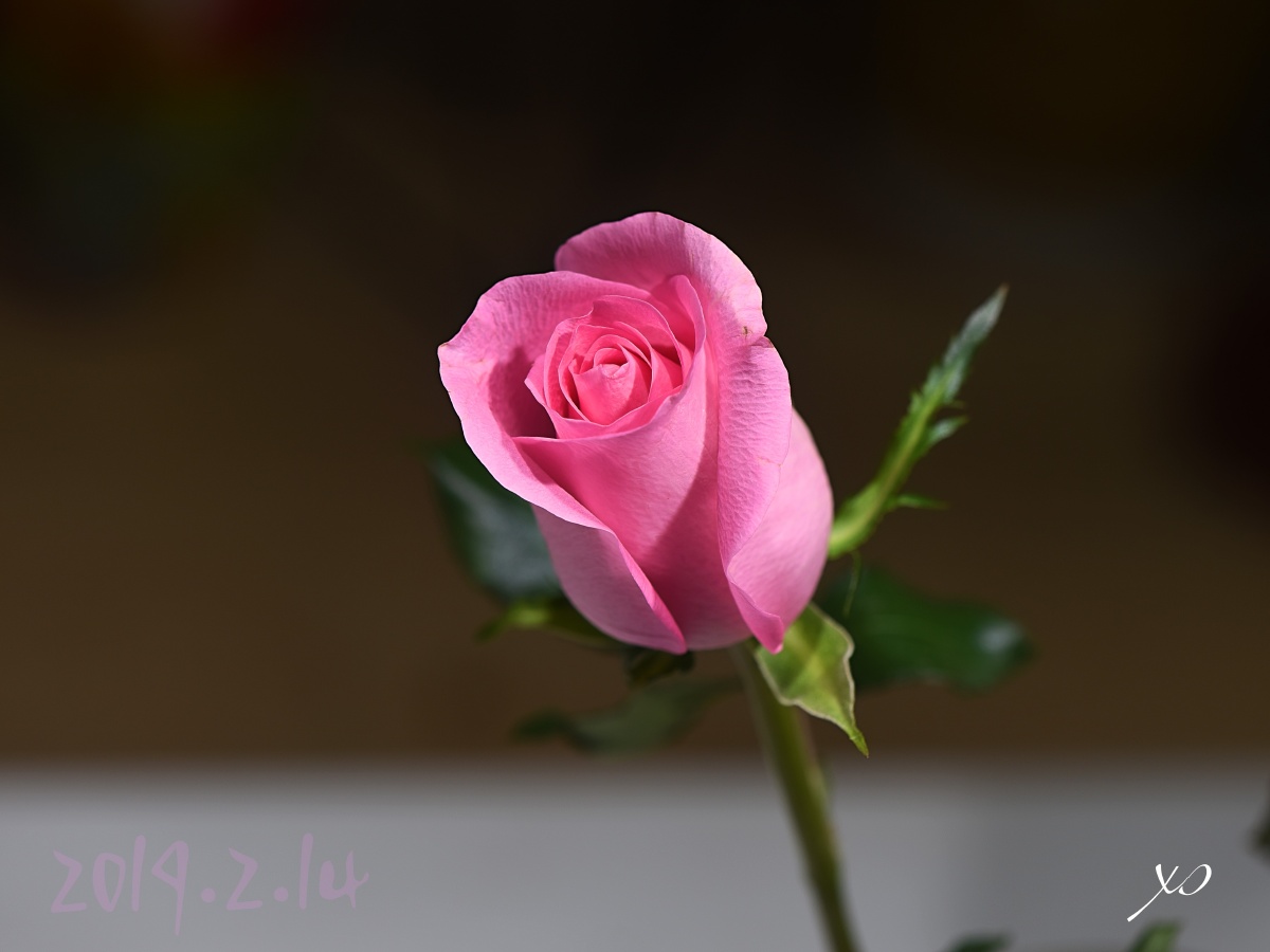 嘴角微微上扬424