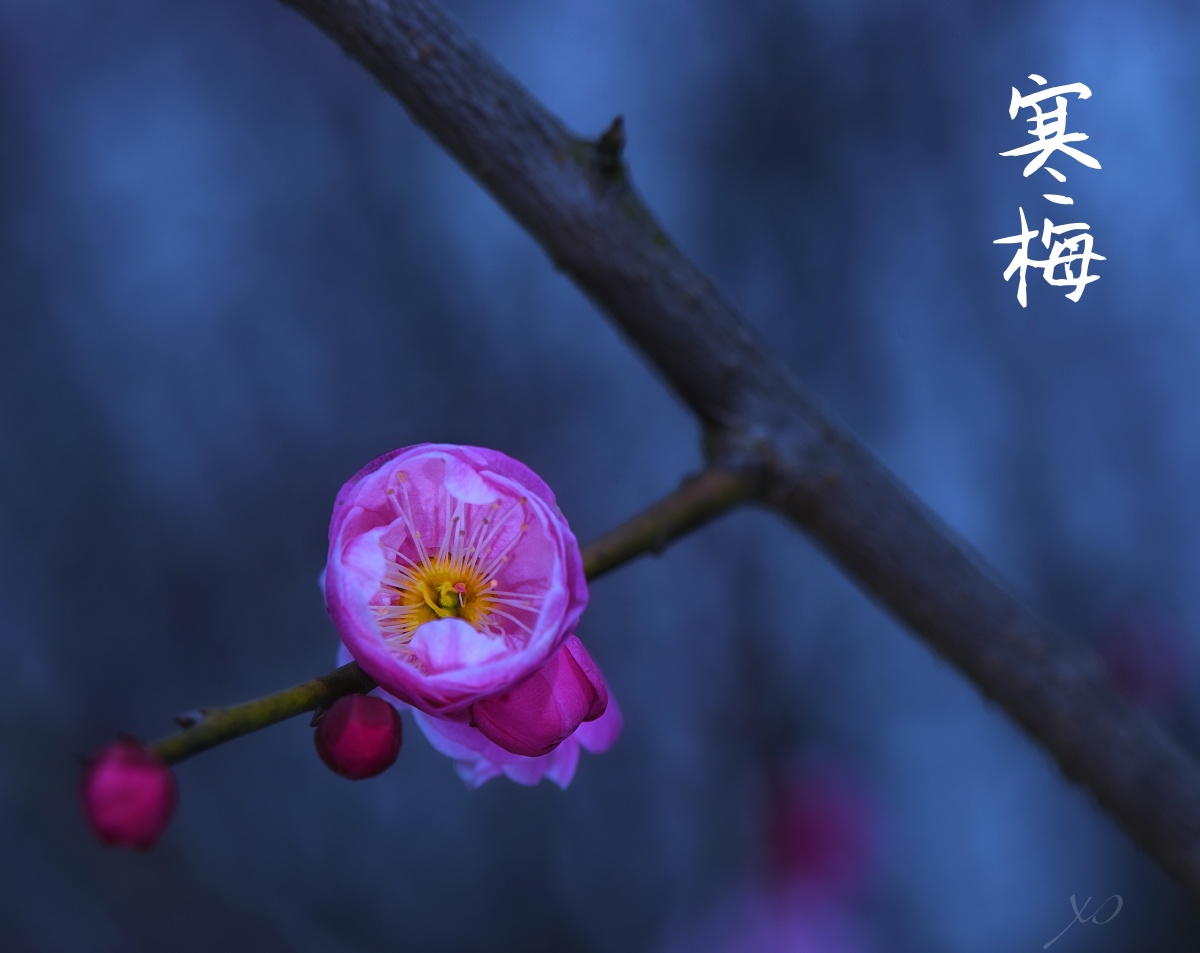 嘴角微微上扬424