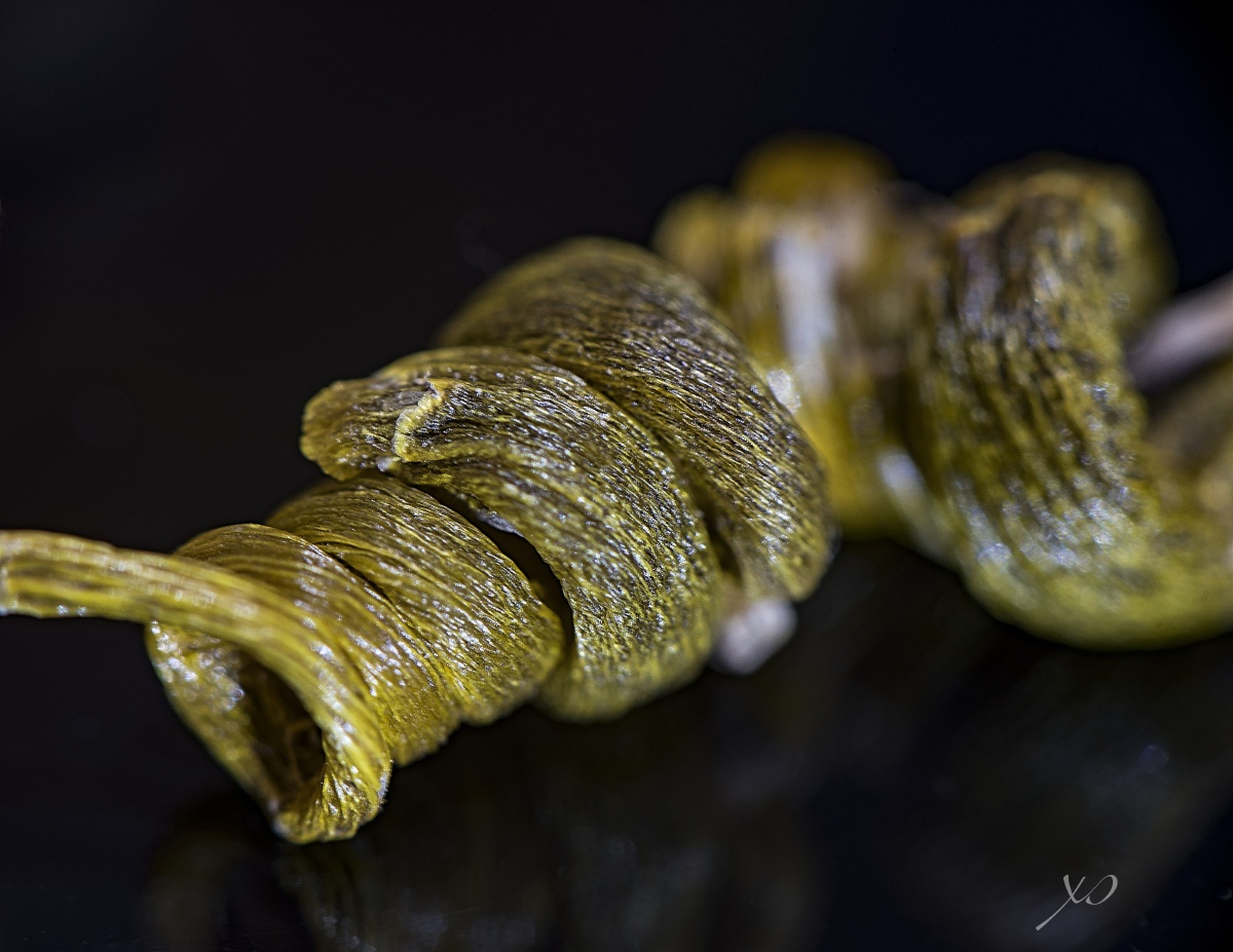 嘴角微微上扬424