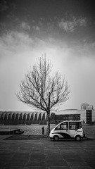_DSC4480