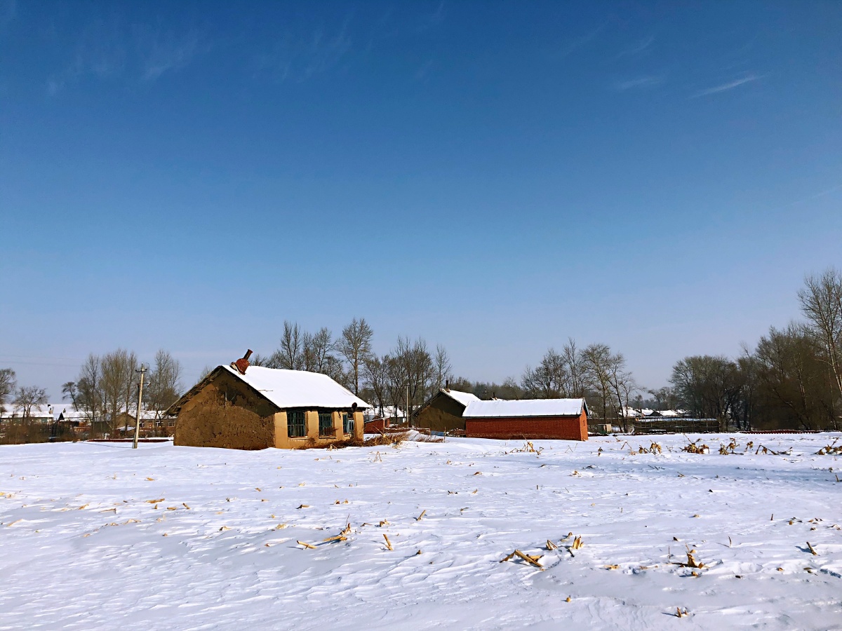 初春的东北大地!