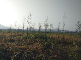 469572