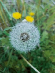 156