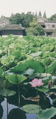77DD3C22-EF88-4659-ABAE-FD28C168F354/L0/001