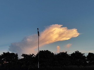 1000054884