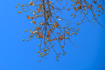29D021C3-5CF2-4CA0-9F68-A43C557F6DEE/L0/001