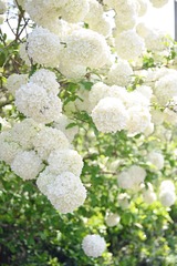 BC531B51-A6EB-47F1-AFF0-5F02AD8390ED/L0/001