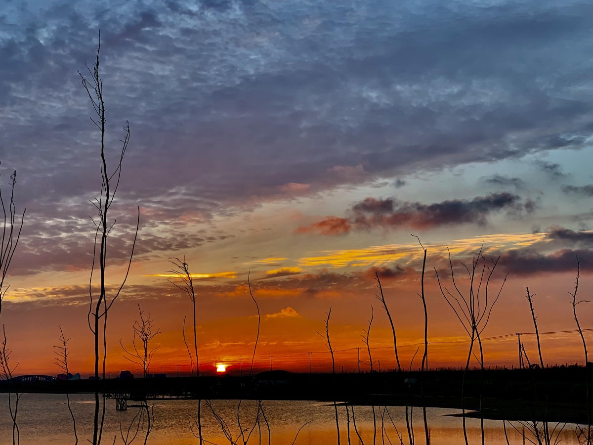 夕阳落幕萧萧下