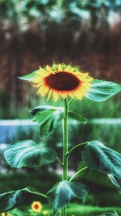 EE210651-F392-40E0-B607-B4613E3C70E7/L0/001