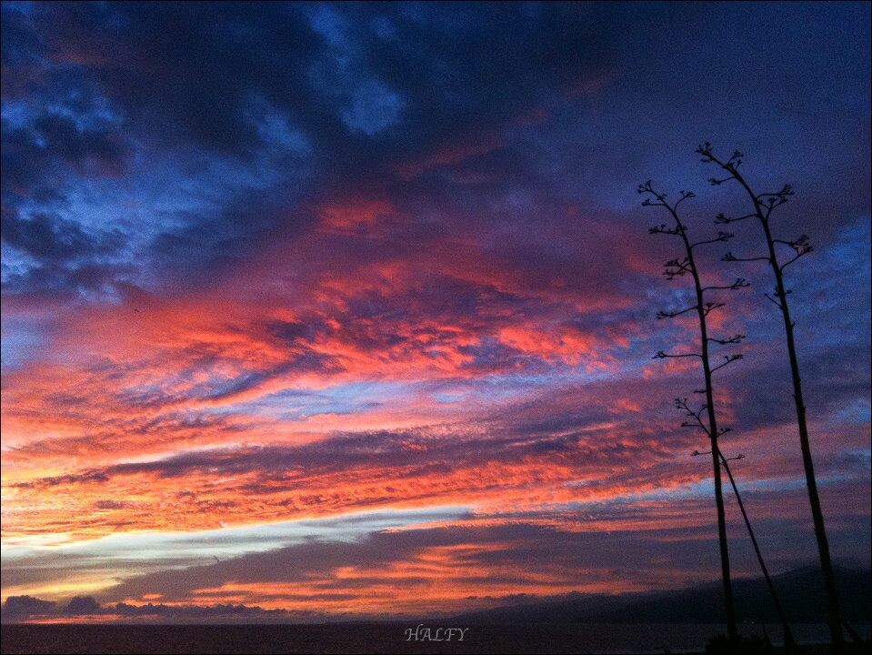 家庭<br />
Santa Monica 海滩日落