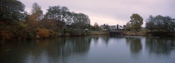255-RDP-03.jpg