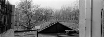 258-Arista400-01.jpg