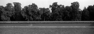 258-Arista400-19.jpg