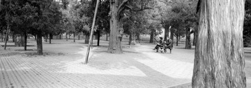 259-Tmax100-05.jpg