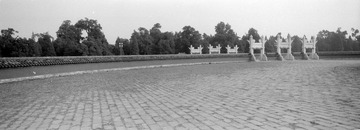 259-Tmax100-06.jpg