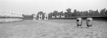 259-Tmax100-09.jpg