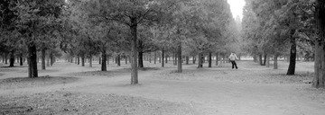 259-Tmax100-16.jpg
