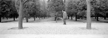259-Tmax100-19.jpg