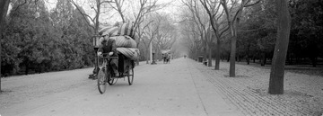 259-Tmax100-21.jpg