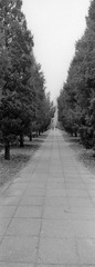 261-TX-01.jpg