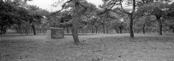 261-TX-03.jpg