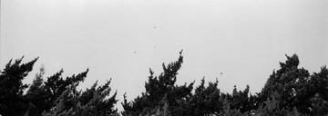 261-TX-07.jpg