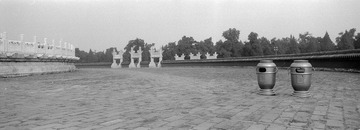 259-Tmax100-09.jpg