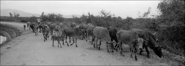 266-HP5-13.jpg