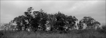 266-HP5-18.jpg