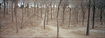 278-Portra400-Scan-120404-0004.jpg