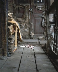 285-Portra160-02.jpg
