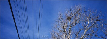 096-RDP-06