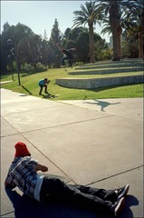 161-Ektar-26