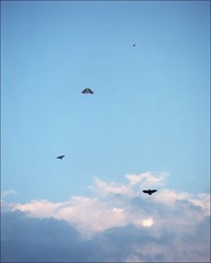 290-Portra160-07.jpg