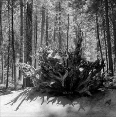 149-Delta100-04
