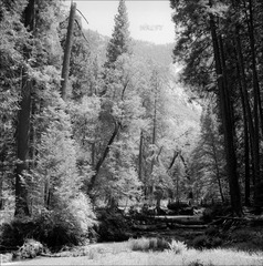 149-Delta100-08