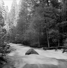 152-Tmax100-07