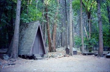 159-Ektar-29