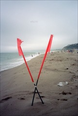 137-Ektar-14