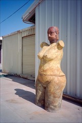 137-Ektar-23