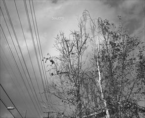 092-TRIX400-6