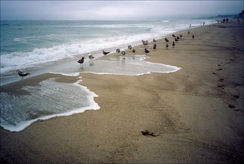 137-Ektar-06