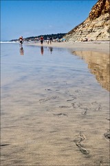 San Diego 海滩