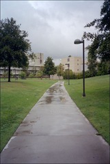 学校，雨后中午