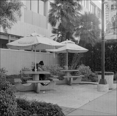 学校，中午