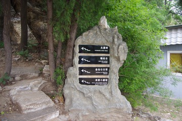 “新中国”影展
