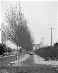 道路