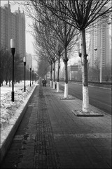 路