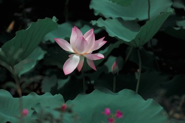 001